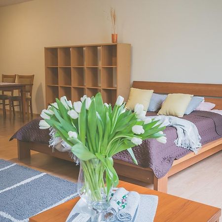 Apartamenty Przy Zamku Olsztyn  Eksteriør billede