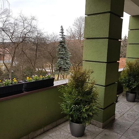 Apartamenty Przy Zamku Olsztyn  Eksteriør billede